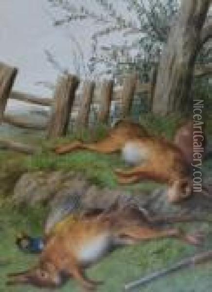 Still Life Of Hares Oil Painting - William Cruickshank