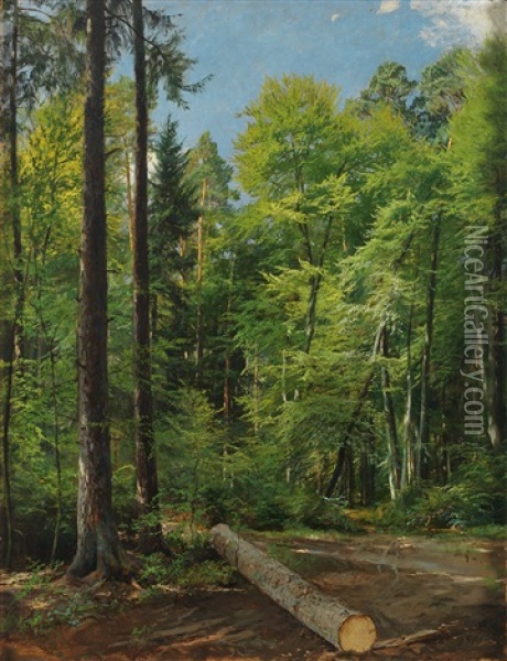 Waldinneres Oil Painting - Emil Zschimmer
