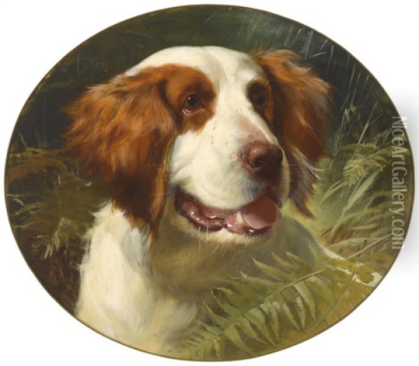 A Brittany Spaniel Oil Painting - George Earl
