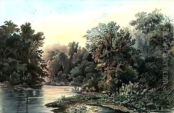 Forest Scene on the Lehigh, Pennsylvania Oil Painting - Karl Bodmer