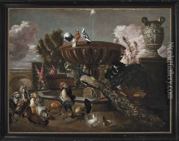 A Peacock, Cockerels, Hens, Turtle Doves And Other Birds By A Fountain In An Ornamental Garden Oil Painting - Pieter Boel
