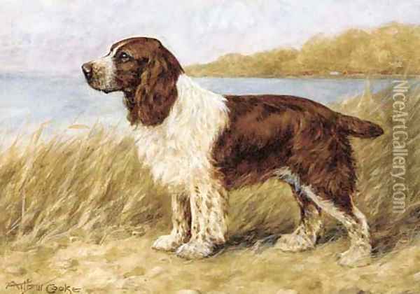 A cocker spaniel Oil Painting - A.C. Cooke