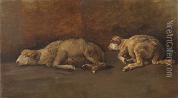 Zwei Ruhende Schafe Oil Painting - Anton Braith