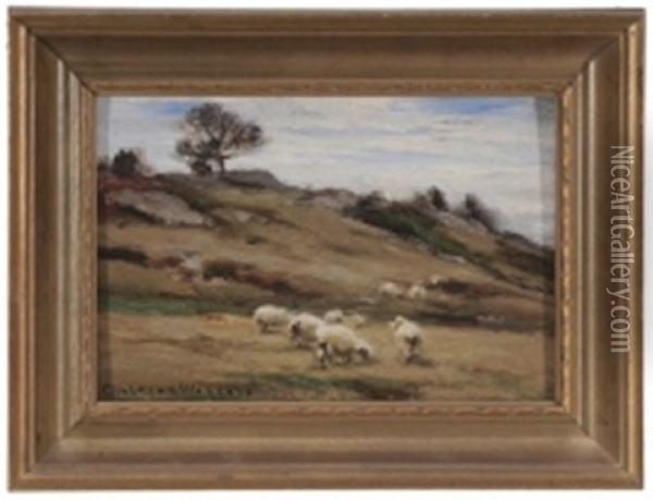 Sheep In A Landscape Oil Painting - Carleton Wiggins