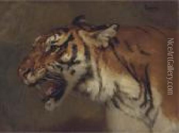 Tigre Rugissant Oil Painting - Gustave Surand