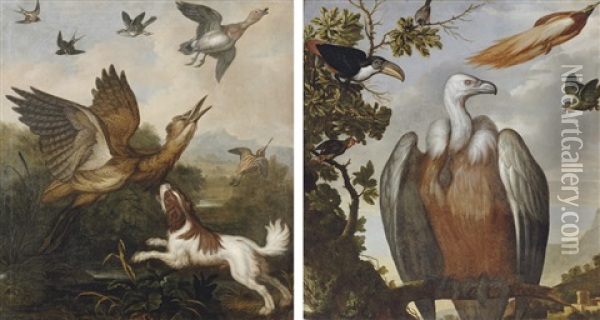 A Spaniel Putting Up A Bittern, Snipe, Duck And Other Birds (+ A Vulture, A Hornbill And Other Birds In A Landscape; Pair) Oil Painting - Francis Barlow
