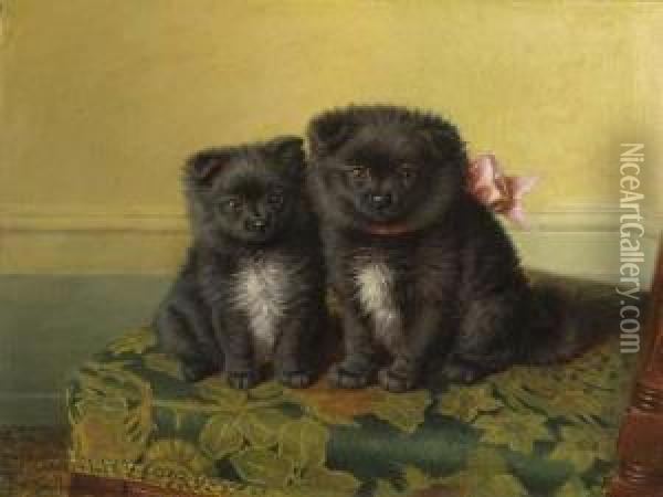 Two Chow Pups Seated On A Chair In An Interior Oil Painting - Horatio Henry Couldery