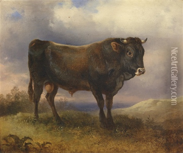 Ein Stier Oil Painting - Friedrich Gauermann