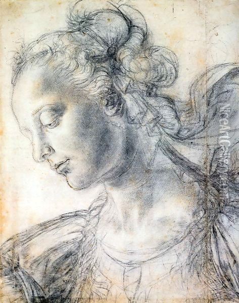 Head of a Woman Oil Painting - Andrea Del Verrocchio