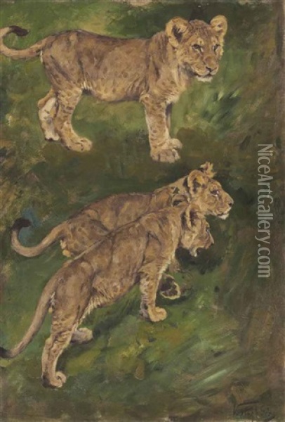Three Lion Cubs Oil Painting - Geza Vastagh