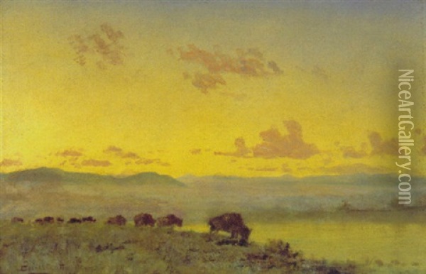Buffalo Herd Oil Painting - Albert Bierstadt