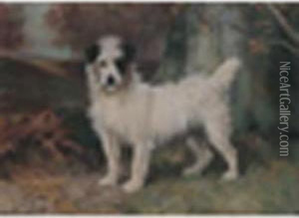 Portrait Ofa Terrier In A Landscape Oil Painting - Wright Barker