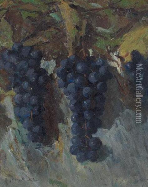 Grappoli D'uva Oil Painting - Adolfo A. Ferraguti Visconti