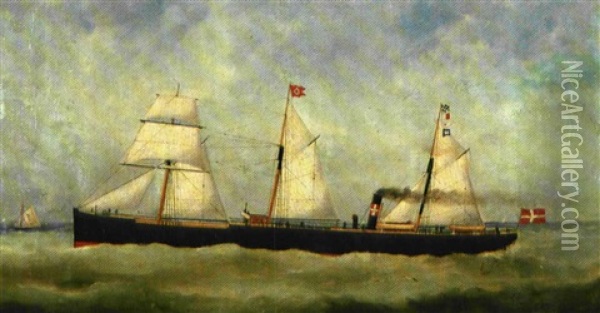 Et Dansk Dampskib Pa Havet Oil Painting - Edouard Adam