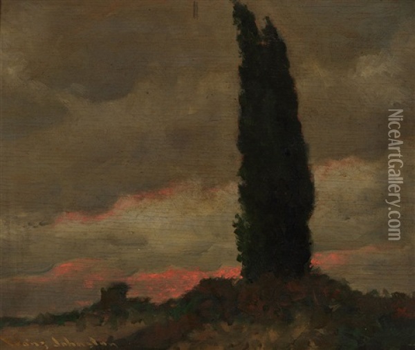 Sombre Sentinel Oil Painting - Francis Hans Johnston