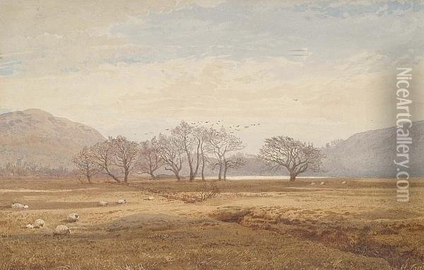 Rural Landscape, Possibly Wales Oil Painting - Hubert Coutts