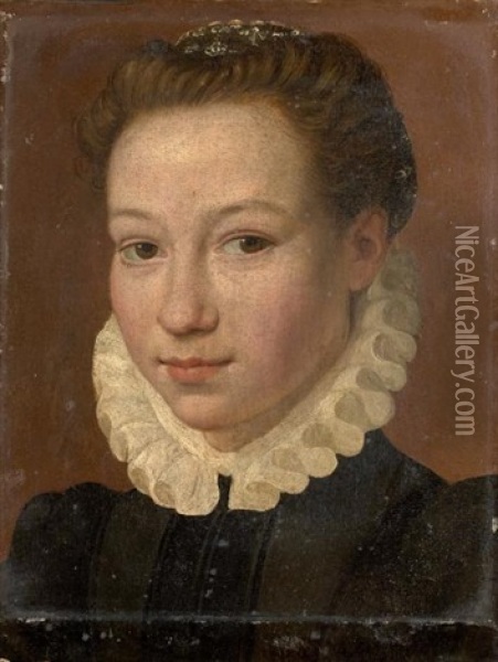 Portrait De Femme Oil Painting - Sofonisba Anguissola