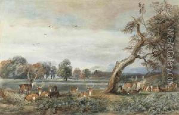A Herd Of Deer Resting In Lowther Castle Park, Cumbria Oil Painting - Peter de Wint