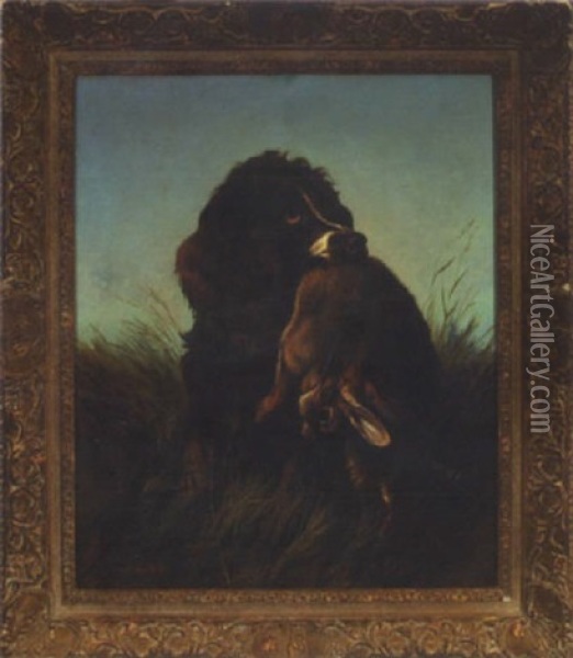 Hunting Spaniel And Hare Oil Painting - Colin Graeme