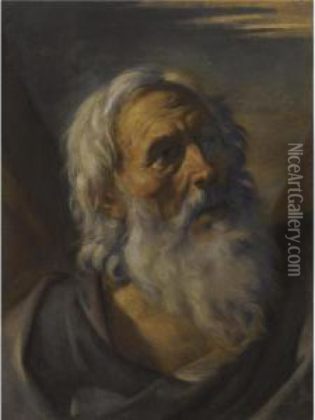 Saint Andrew, Head And Shoulders Oil Painting - Pier Francesco Mola