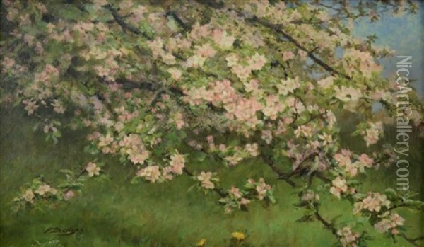 Phoebe In Apple Blossoms Oil Painting - Fidelia Bridges