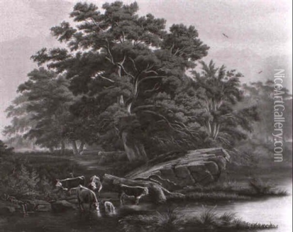 Baumbestandene Flusslandschaft Mit Kuhen Oil Painting - Johann Rudolf Rapp