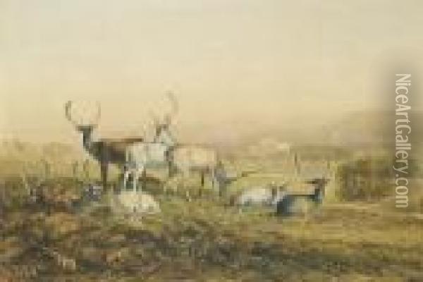 Fallow Deer In The Park, Chatsworth Oil Painting - David I Cox