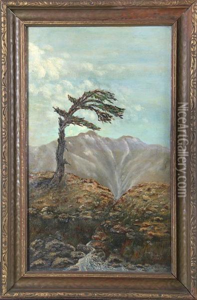 Lone Tree In Landscape Oil Painting - Anna S. Fisher