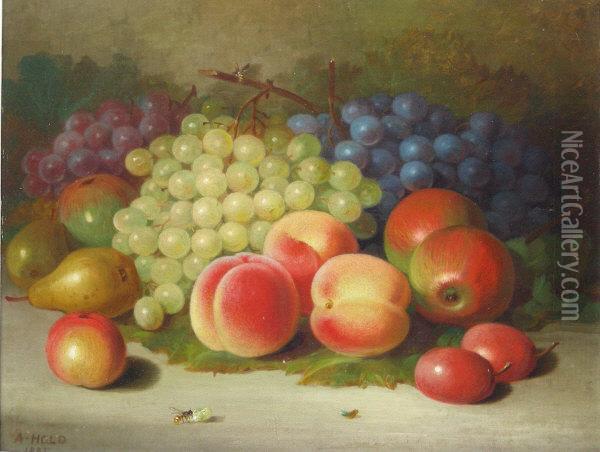 Still Life Of Fruit Oil Painting - Abel Hold