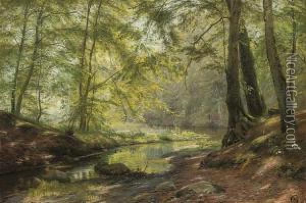 A Woodland Brook Oil Painting - Johannes Boesen