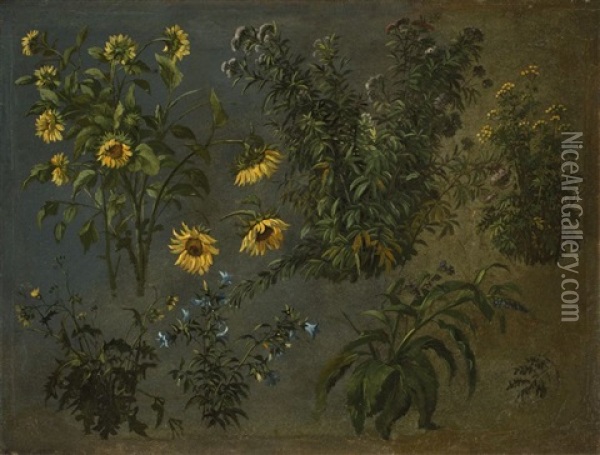 Blumen Oil Painting - Christian Friedrich Gille