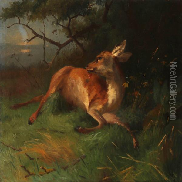 A Shot Deer Oil Painting - Adolf Henrik Mackeprang