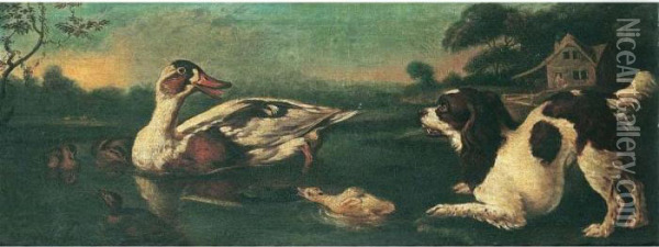 A Spaniel With A Duck And Ducklings Oil Painting - Francis Barlow