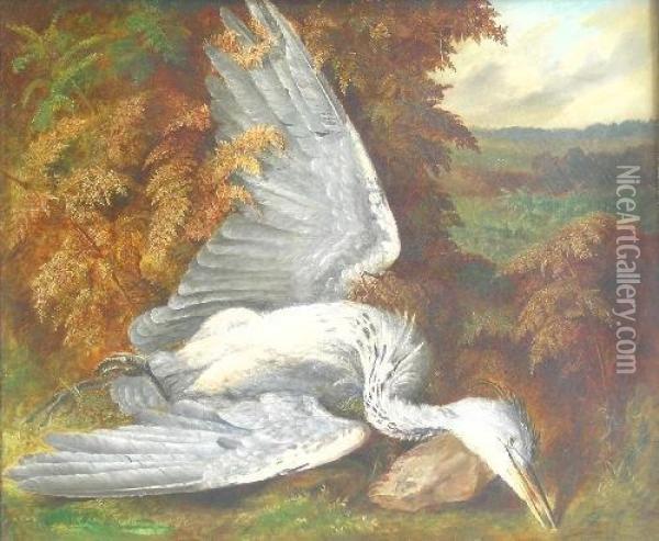 The Dead Heron Oil Painting - A. D. Lucas