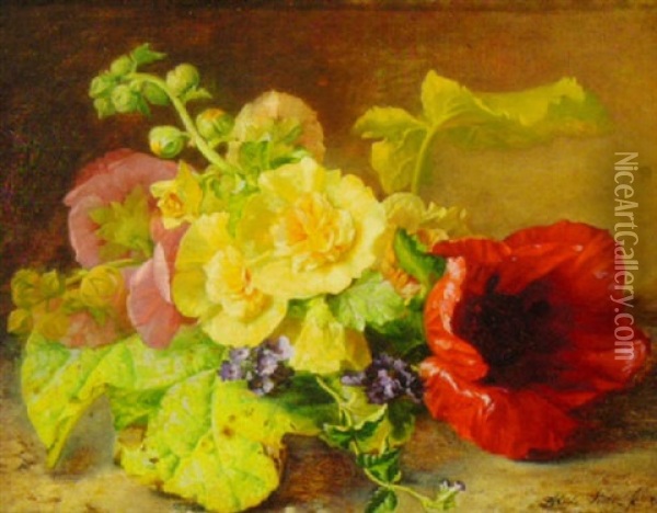Poppies, Hollyhock And Primrose In Nature Oil Painting - Alida Elizabeth van Stolk