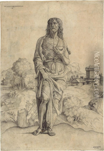 Saint John The Baptist Oil Painting - Giulio Campagnola