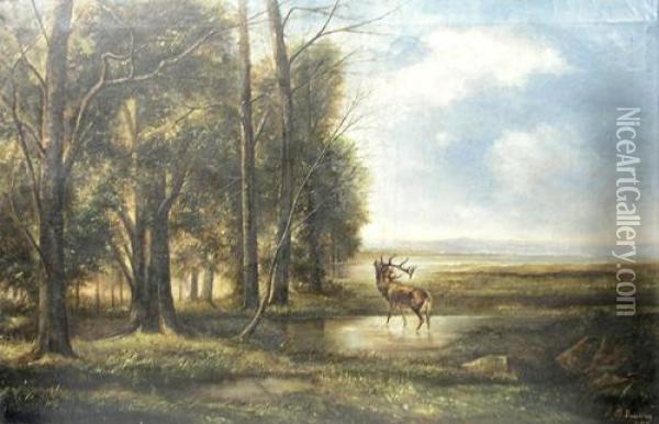 Stag At The Forest Border Oil Painting - Theodor Buicliu