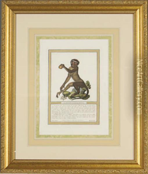 [monkeys]: Eight Plates Oil Painting - Nicolas Henri Jacob