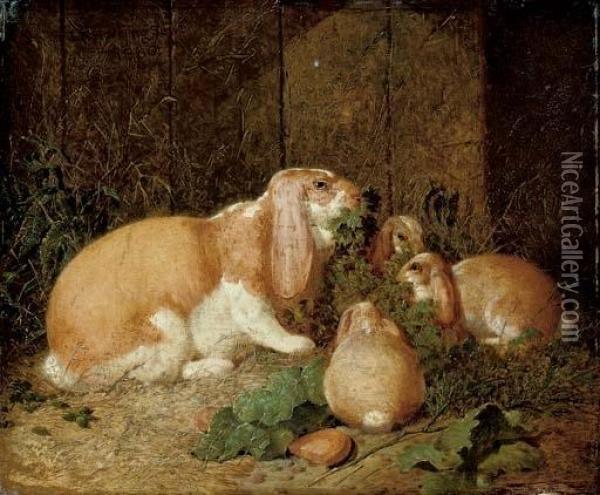 Lop-eared Rabbits Oil Painting - John Frederick Herring Snr