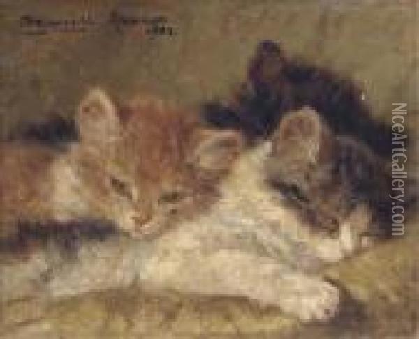 The Sleeping Kittens Oil Painting - Henriette Ronner-Knip
