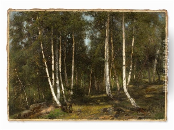 Birch Forest Oil Painting - Jean-Baptiste-Arthur Calame