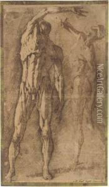 Two Studies Of An Ecorche Figure, After Francavilla Oil Painting - Andrea Boscoli