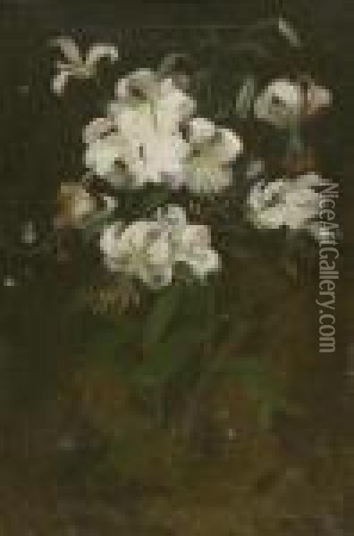 White Lilies Oil Painting - James Stuart Park