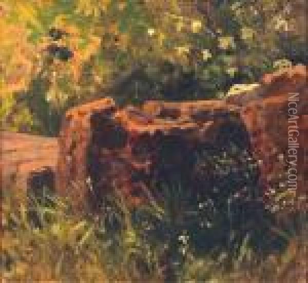 Lesni Zatisi Se Skalou Oil Painting - Julius Eduard Marak