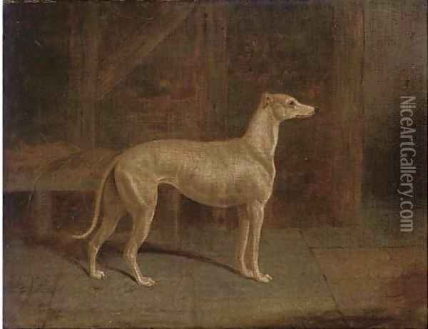 A prize greyhound in an interior Oil Painting - Samuel Spode