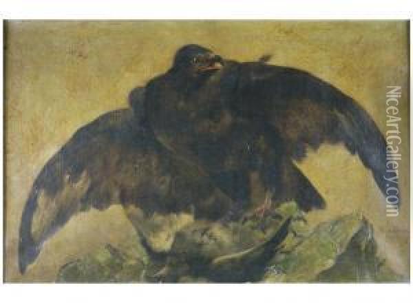 Falcon Holding A Pigeon In His Claws Oil Painting - Piet Van Engelen