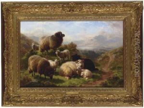 Sheep In A Loch Landscape Oil Painting - William Watson