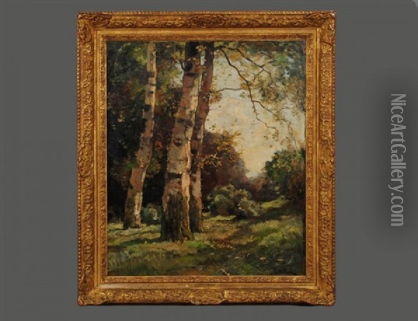 Forest Landscape Oil Painting - Theophile De Bock