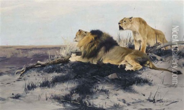 Roaring Lions Oil Painting - Wilhelm Friedrich Kuhnert