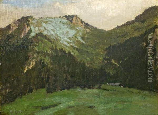 Gebirgslandschaft Oil Painting - August Fink